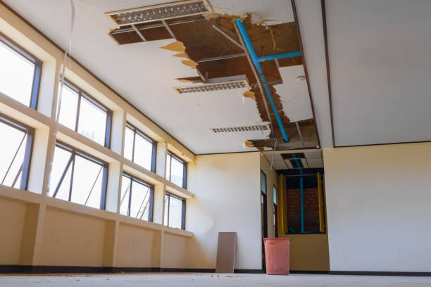 Best Ceiling water damage repair  in Mount Pleasant, UT