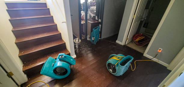 Best Flood restoration services  in Mount Pleasant, UT