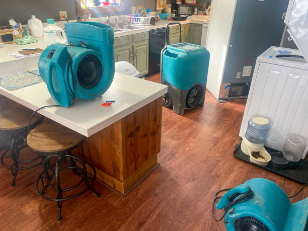 Best Ceiling water damage repair  in Mount Pleasant, UT