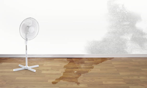 Best Water damage restoration near me  in Mount Pleasant, UT