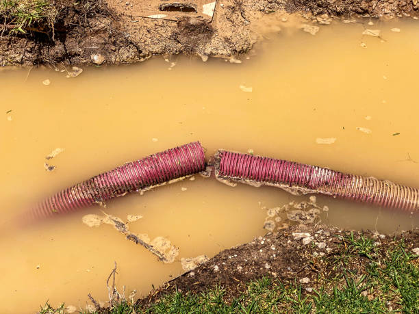 Best Local water damage restoration  in Mount Pleasant, UT