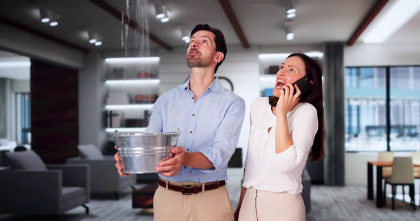 Best Commercial water damage restoration  in Mount Pleasant, UT